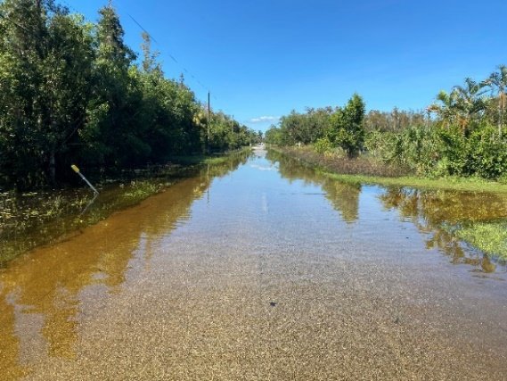 Flooded road in the Lake Park Blvd project area, East Naples